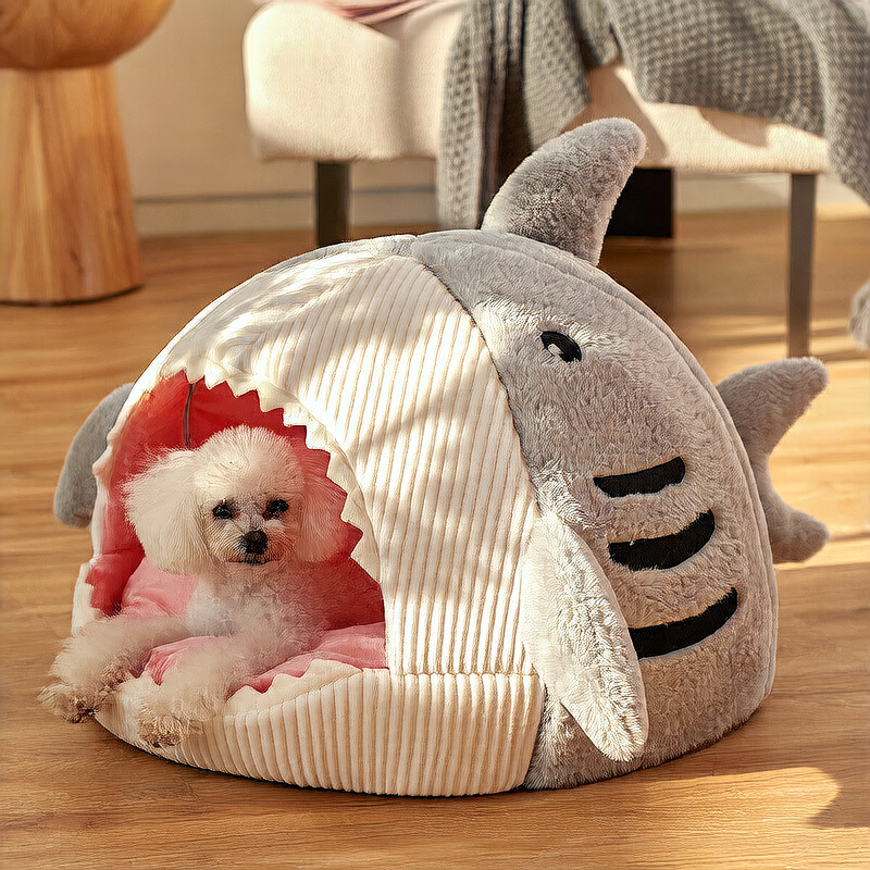 Shark cat nest