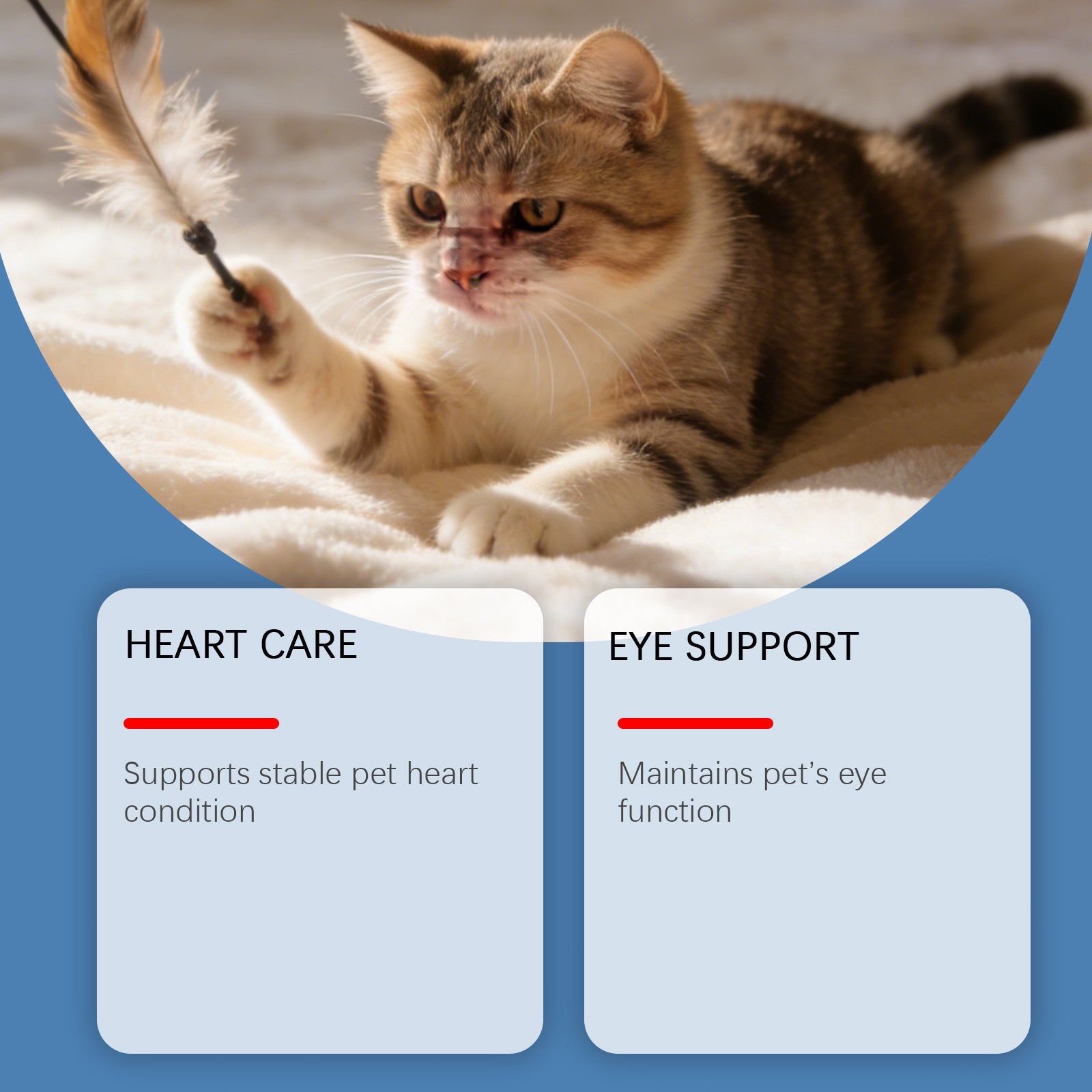 Cat Taurine Nutritional Supplement Powder